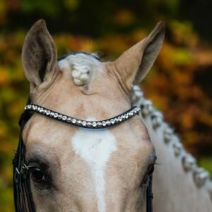 Ontwerp je Swarovski frontriem van Bridle2Fit