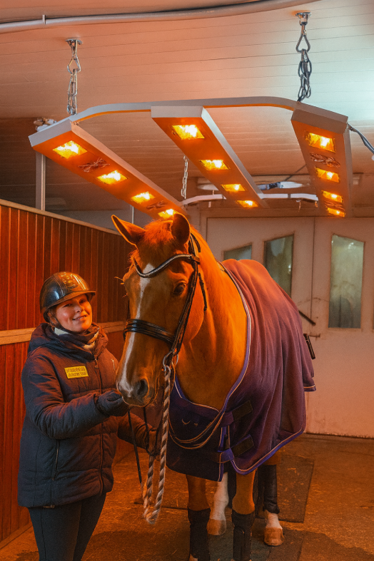 Solarium voor paarden