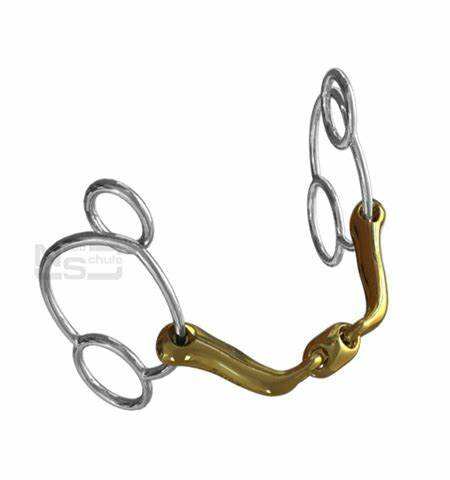 Neue Schule Verbindend Pessoa