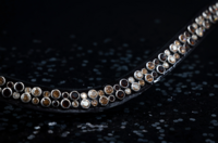 Monere custom deluxe frontriem