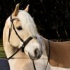 Bridle2Fit Bitloze Neusriem NF-2