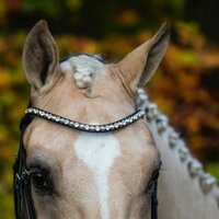 Ontwerp je Swarovski frontriem van Bridle2Fit