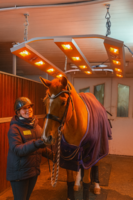 Solarium voor paarden