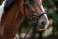 Bridle2Fit Neusriem J1