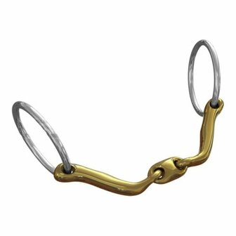 Neue Schule verbindend