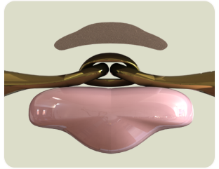 Neue Schule Turtle Tactio