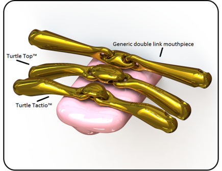 Neue Schule Turtle Tactio