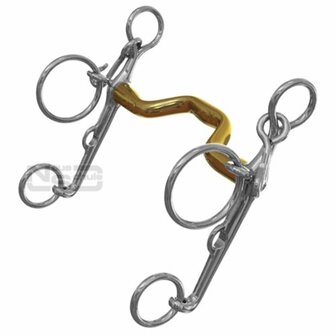 Neue Schule Warmblood Show Pelham