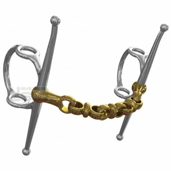 Neue Schule Waterford Nelson