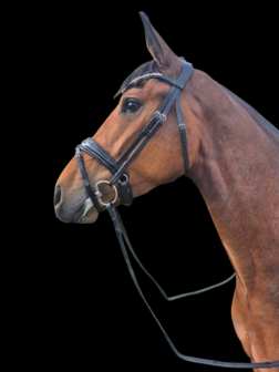 Compleet Bridle2fit hoofdstel (stel je eigen  trens hoofdstel samen met glitter neusriem)