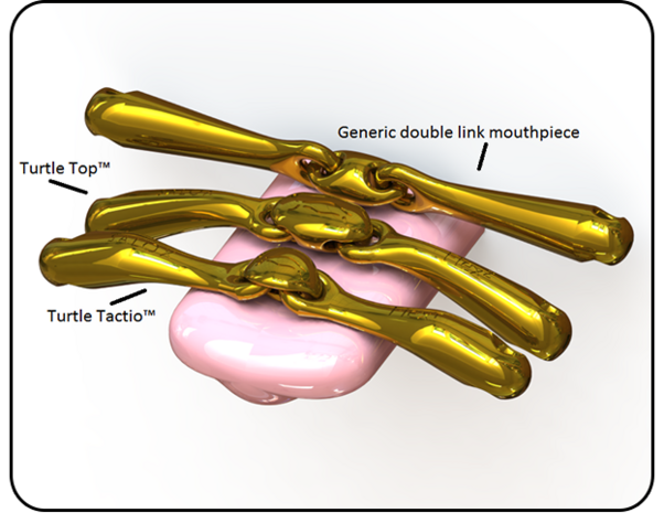 Neue Schule Turtle Tactio