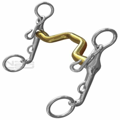 Neuhe Schule Dressage Warmblood Weymouth