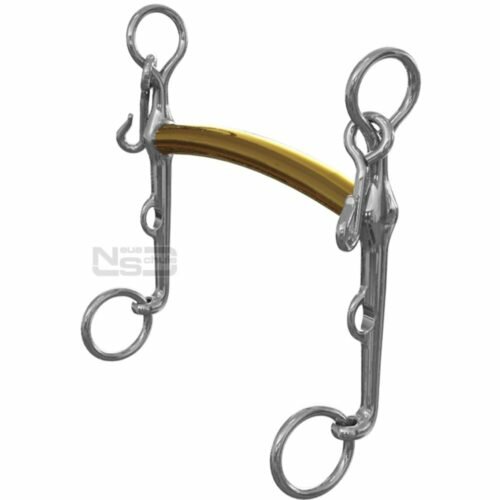 Neue Schule Thoroughbred Weymouth