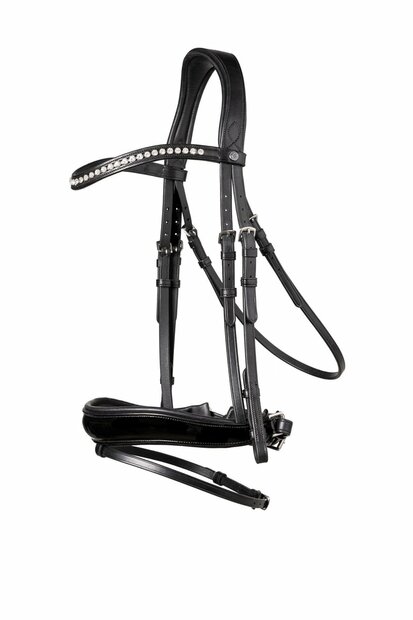 Trust Rotterdam hoofdstel