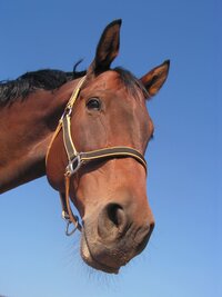 7 fouten die gemaakt worden bij het gebruik van een bit 7 fouten die gemaakt worden bij het gebruik van een bit