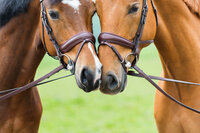 Watertrens of bustrens bit?