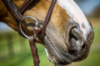 Hoe ontstaan kapotte mondhoeken?