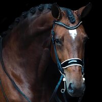 Hoe begin je met stang en trens?