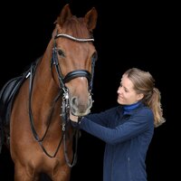 Bitfitting Bitfitting