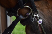 De nieuwe harnachementgids van de KNHS – Wat verandert er per 1 april 2024?