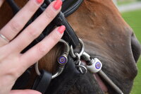 Hoe werkt een bitfitting? Alles wat je moet weten.