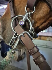 Liverpool menbit: werking, afstelling en bitfitting voor menpaarden