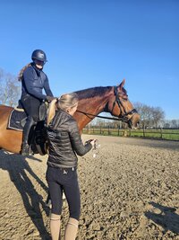 Hoe dik moet een bit zijn? Alles over de juiste bitdikte uitgelegd