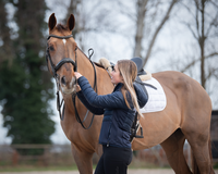 Hoofdstel voor paarden: alles over pasvorm, drukverdeling en comfort