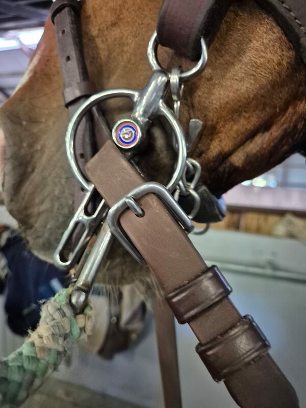 Liverpool menbit: werking, afstelling en bitfitting voor menpaarden