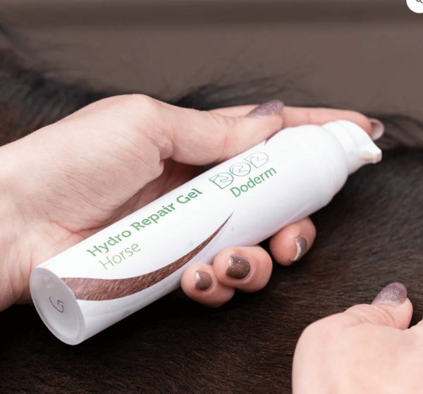 Zomereczeem bij paarden