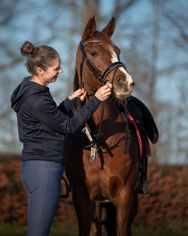 Paard schudt met het hoofd