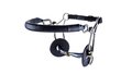 Trust Sweet Iron-hackamore combi short-Enkelgebroken-16mm